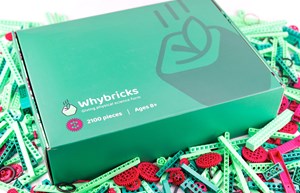 Whybricks (10 Student Pack)