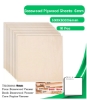 Bulk Blanks Basswood Ply 6mm 300x300mm (10pc) laser plywood sheets New Zealand