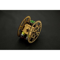 Flamewheel - A 2WD Remote Control Robot 