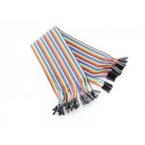 40 Pin Dual Female Splittable Jumper Wire - 200mm