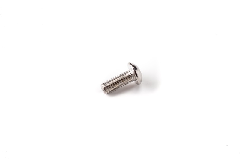 ISO 7380 rvs M4x10 A2