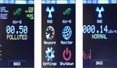 DIY Portable Environmental Hazard Detector