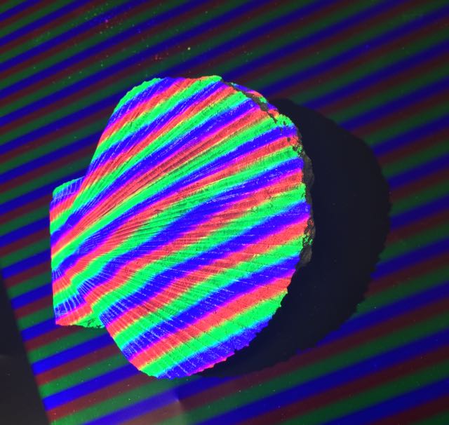Hi Res 3D Scanning being Used by Massey University To Record Artifacts Permanently