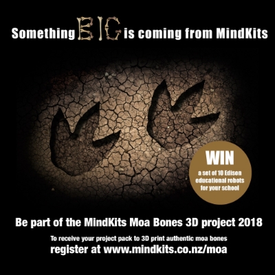 Be Part Of Something Big! 3D Print Authentic Giant Moa Bones